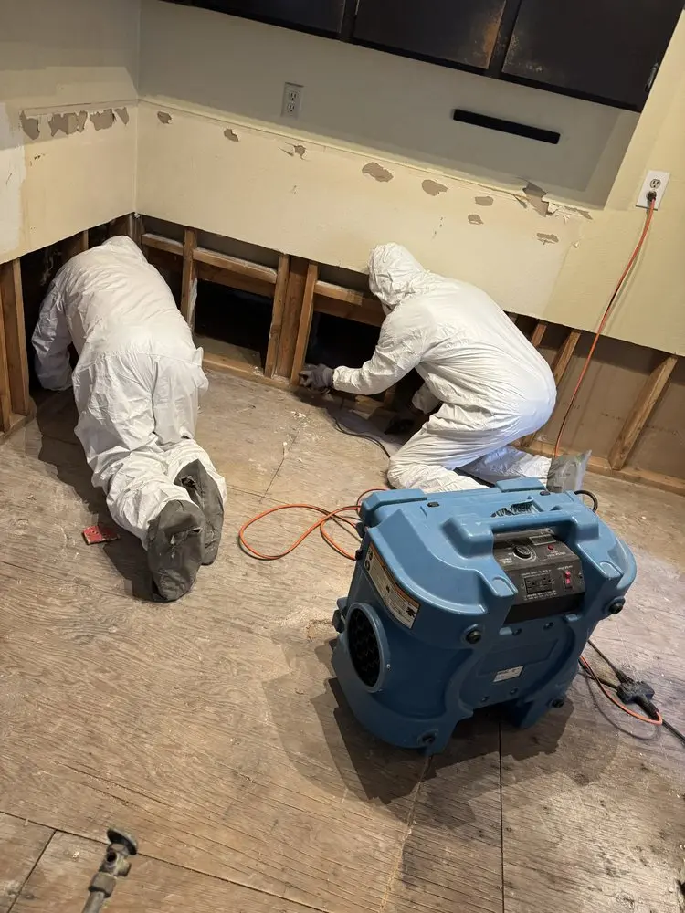 Residential Restoration San Jose